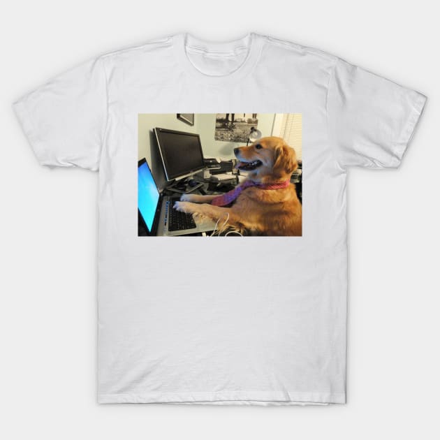 I Have No Idea What I'm Doing Dog T-Shirt by FlashmanBiscuit